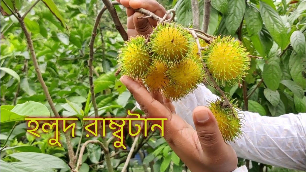 WhatsApp Image 2026-05-08 at 11.40.13 PM